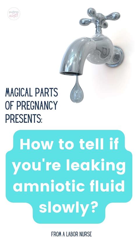 leakage of amniotic fluid|Leaking Amniotic Fluid: How to Tell